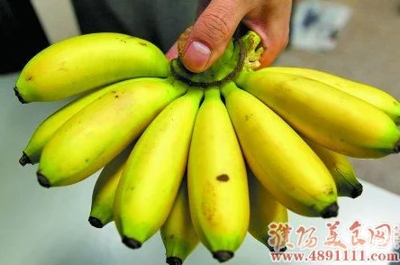 香蕉69精品视频在线观看网友推荐这是一部精彩绝伦的作品画面精美剧情引人入胜让人欲罢不能值得一看不容错过