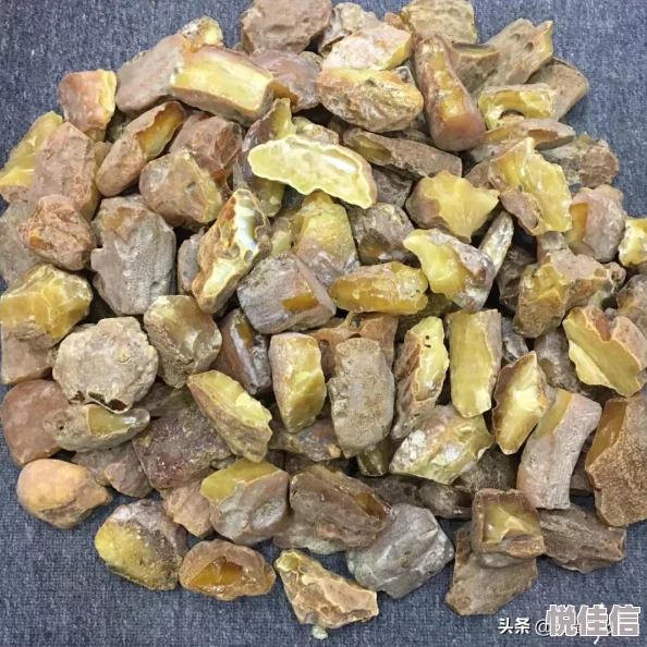 俄罗斯一级片网友推荐这部影片情节紧凑演员表现出色让人印象深刻值得一看同时也引发了不少讨论和思考