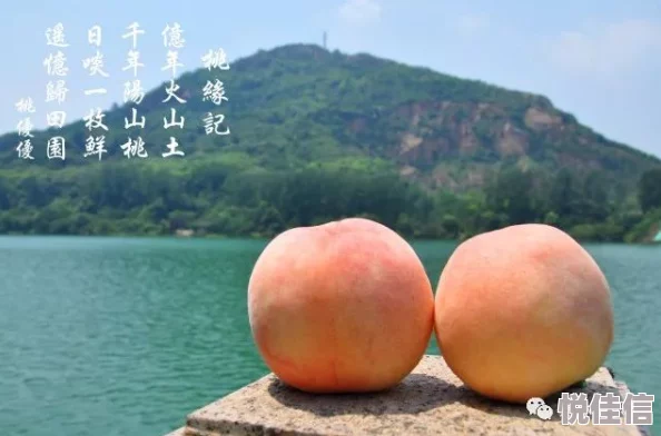 水蜜桃一二三区是指某地划分的三个不同区域，用以区分不同的水蜜桃种植或销售区域