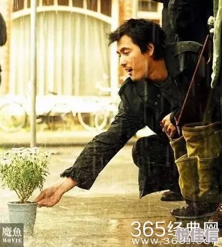达叔街射护士第二季用爱与坚韧守护生命传递希望与温暖