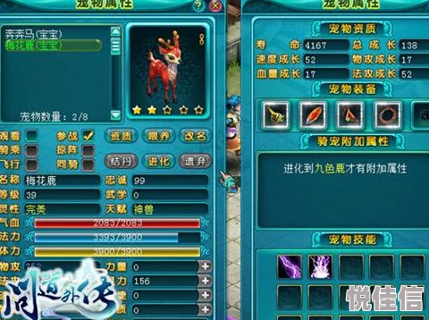 问道手游资深玩家揭秘：黑风洞高效通关策略与快速流程详解