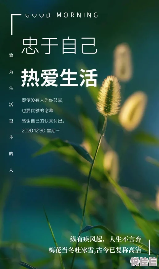 短文合集相信自己每一天都是新的开始勇敢追梦创造美好未来