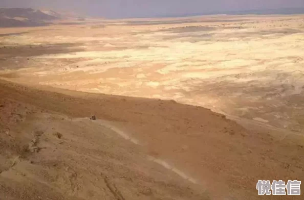 国产亚洲路线一路线二路线三死亡沙漠在逆境中绽放生命的希望与坚韧