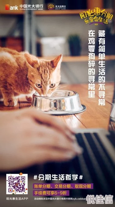 快猫记录世界让我们一起用镜头捕捉生活中的美好瞬间传递积极向上的力量