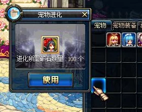 dnf五一宠物大揭秘：惊喜消息！最佳萌宠揭晓，哪个将成为你的战斗伙伴？