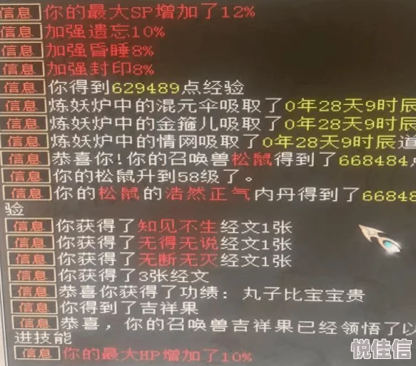 《归龙潮》全面攻略：揭秘快速提升资历等级的秘密方法，更有惊喜新系统即将上线！