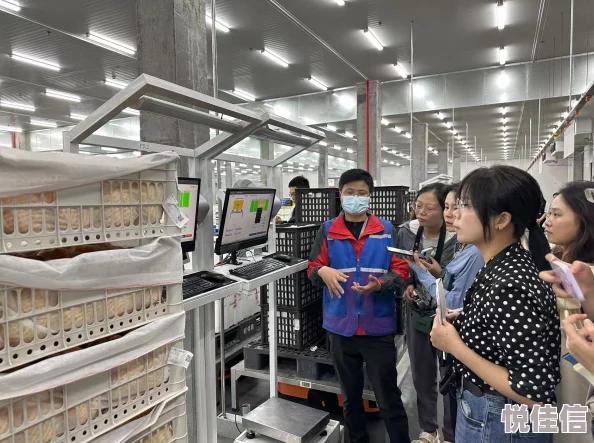 503管鲍之交分拣中心f2d近日中心引入新技术提升分拣效率，员工培训也在同步进行