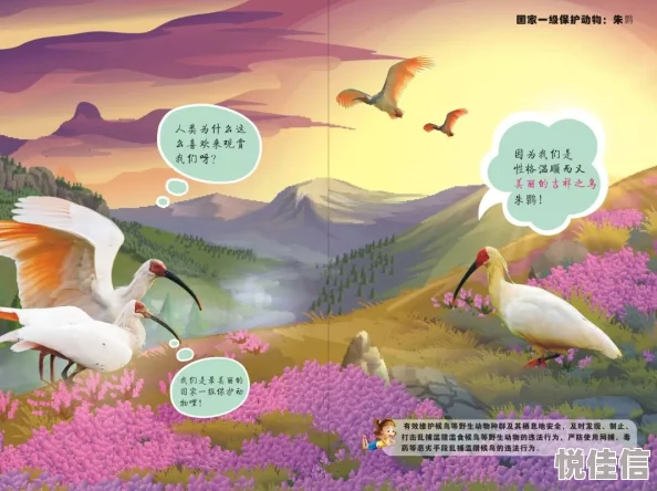 楚晚宁头条文章动物园让我们珍惜生命中的每一个瞬间，保护自然与动物，共同创造美好未来