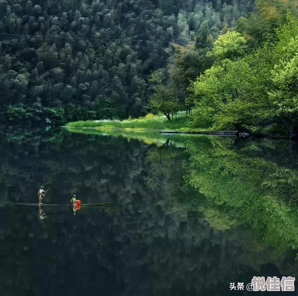 揭秘！奇幻森林岛最强阵容搭配攻略，惊喜消息：新英雄加入改写战局！