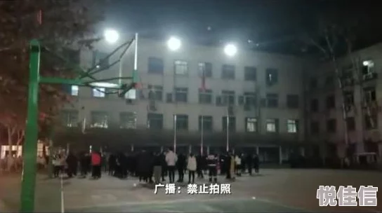 女生宿舍迅雷下载让我们一起追求梦想，努力学习，共同成长，创造美好未来