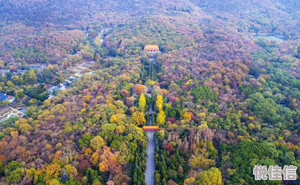 天际线城市新手入门指南：首推地图揭秘，更有惊喜礼包助你轻松上手！