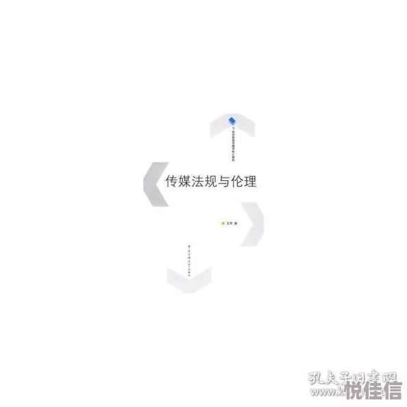 黄影视的制作与传播：伦理道德与法律责任的探讨