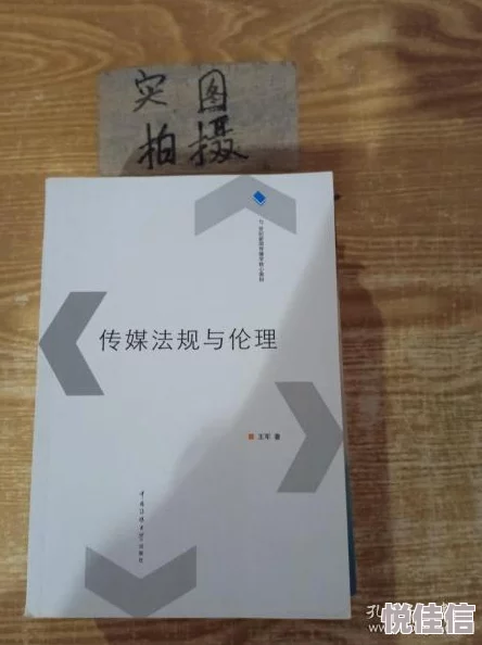 黄影视的制作与传播：伦理道德与法律责任的探讨