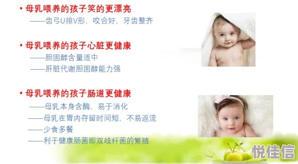 小可的奶水全文免费最新章节已更新至第十八章母乳的秘密