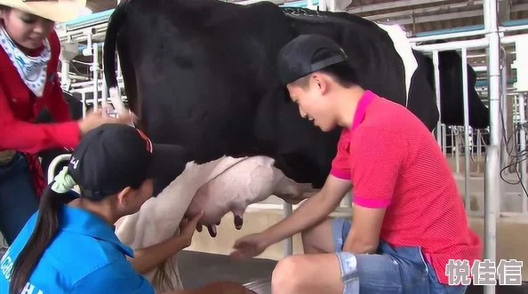 xxx哺乳挤奶hd听说现场还有个神秘男子帮忙指导挤奶姿势引来众多网友围观
