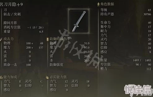 惊喜揭秘！艾尔登法环中，哪款武士刀竟隐藏最强战力？最佳选择揭晓！