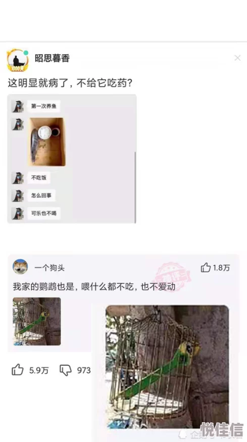 男人桶美女的屁股桶到爽网友：低俗不尊重女性，建议平台严肃处理