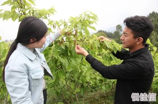 蘑菇传媒在线观看画质差劲内容低俗浪费时间欺骗观众毫无价值