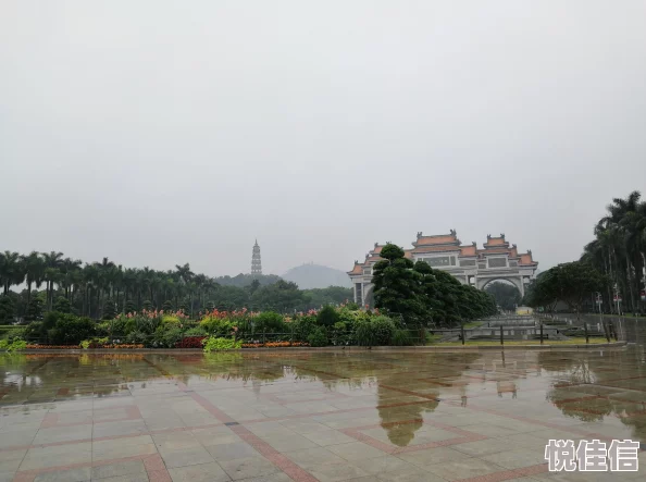 点击哪个选项可以成功获取地铁应急逃生鸽子的详细指南