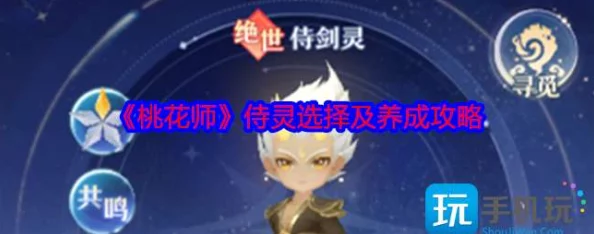 《桃花师》低成本更换主战契灵，实战攻略与技巧解析