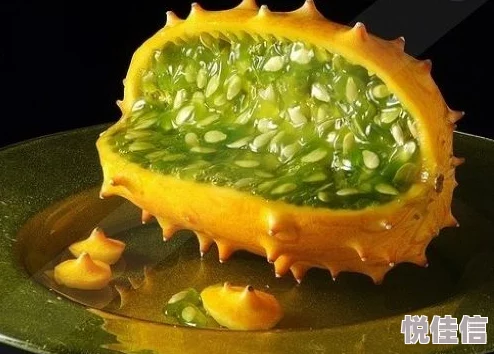 浮空岛生存，如何解锁美味佳肴？