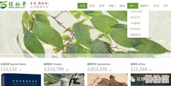 2025年有哪些关于植物的有趣游戏值得期待？