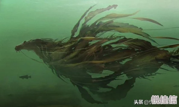 哪些成语消除游戏值得推荐？