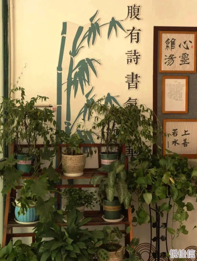 哪些成语消除游戏值得推荐？